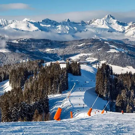 Silver - A Megeve